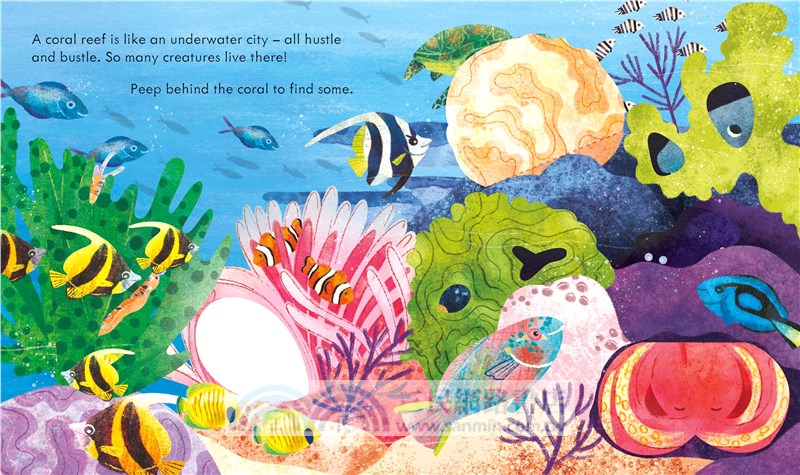 Peep inside a Coral Reef