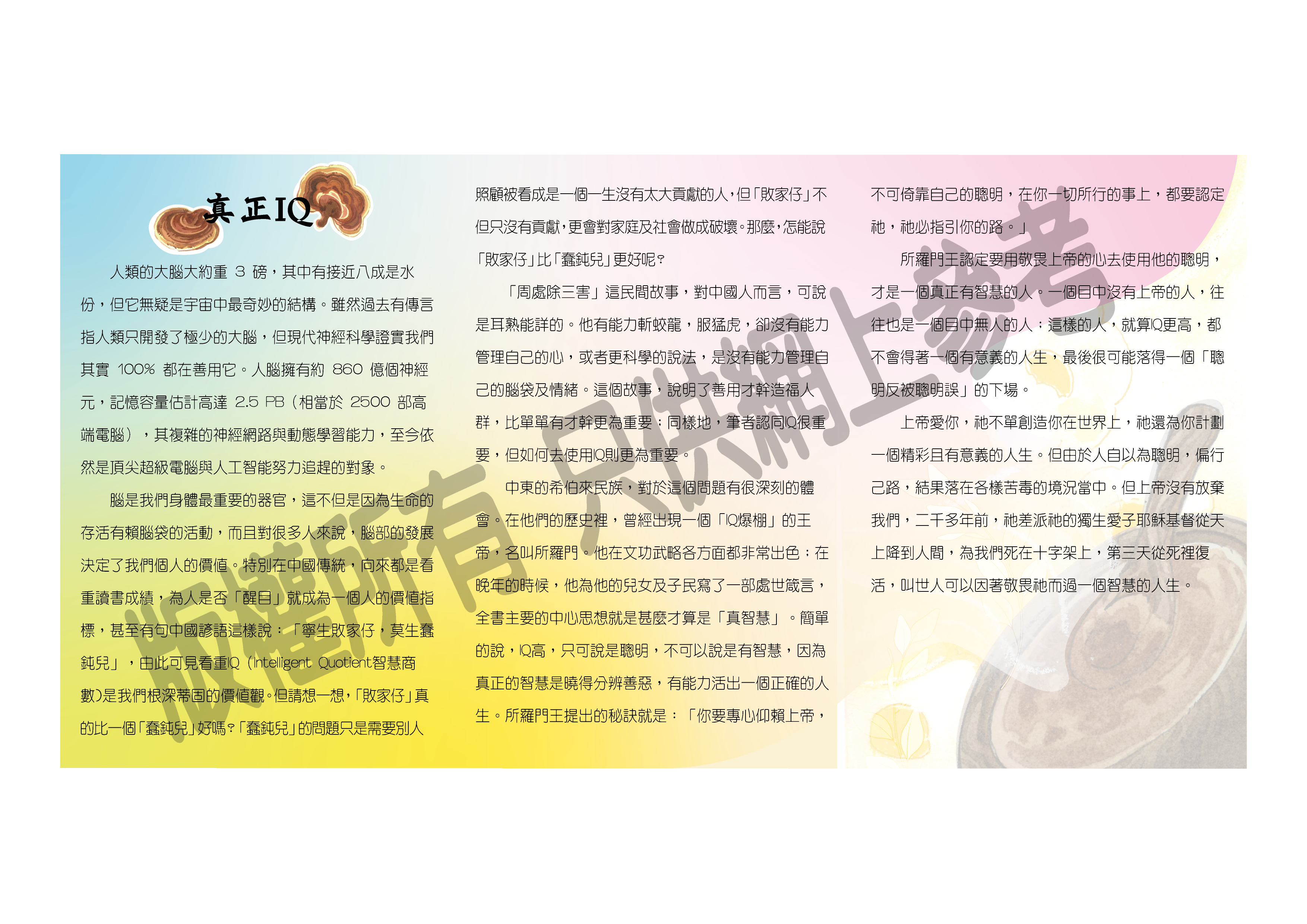 HF01703  心靈蔘湯系列之補腦