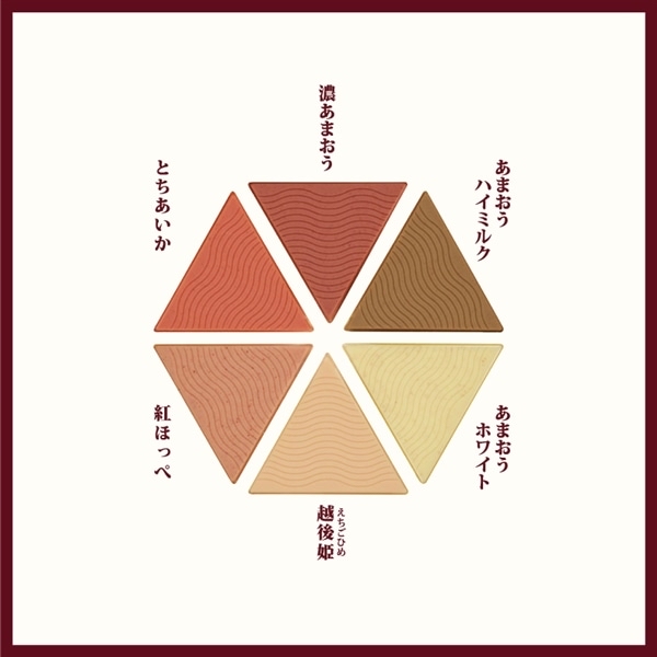 日本 Mary’s 奏-KANADE-系列朱古力禮盒12件