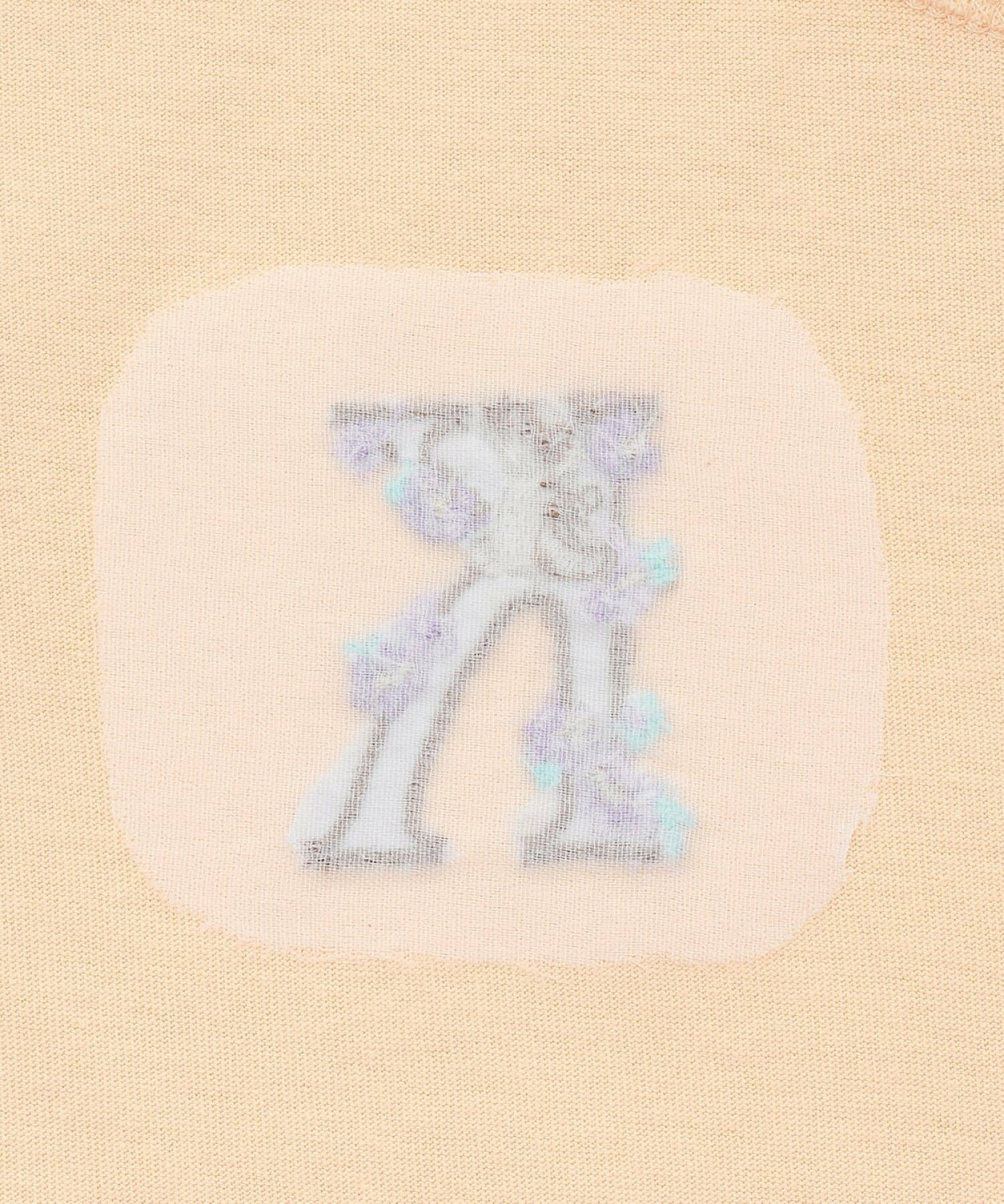 🆕【⭐訂購⭐】🌀 🇯🇵 日本直送🇯🇵 字母花朵刺繡 荷葉邊袖  短袖T恤［8款選］🌀 [ELEA-0216]