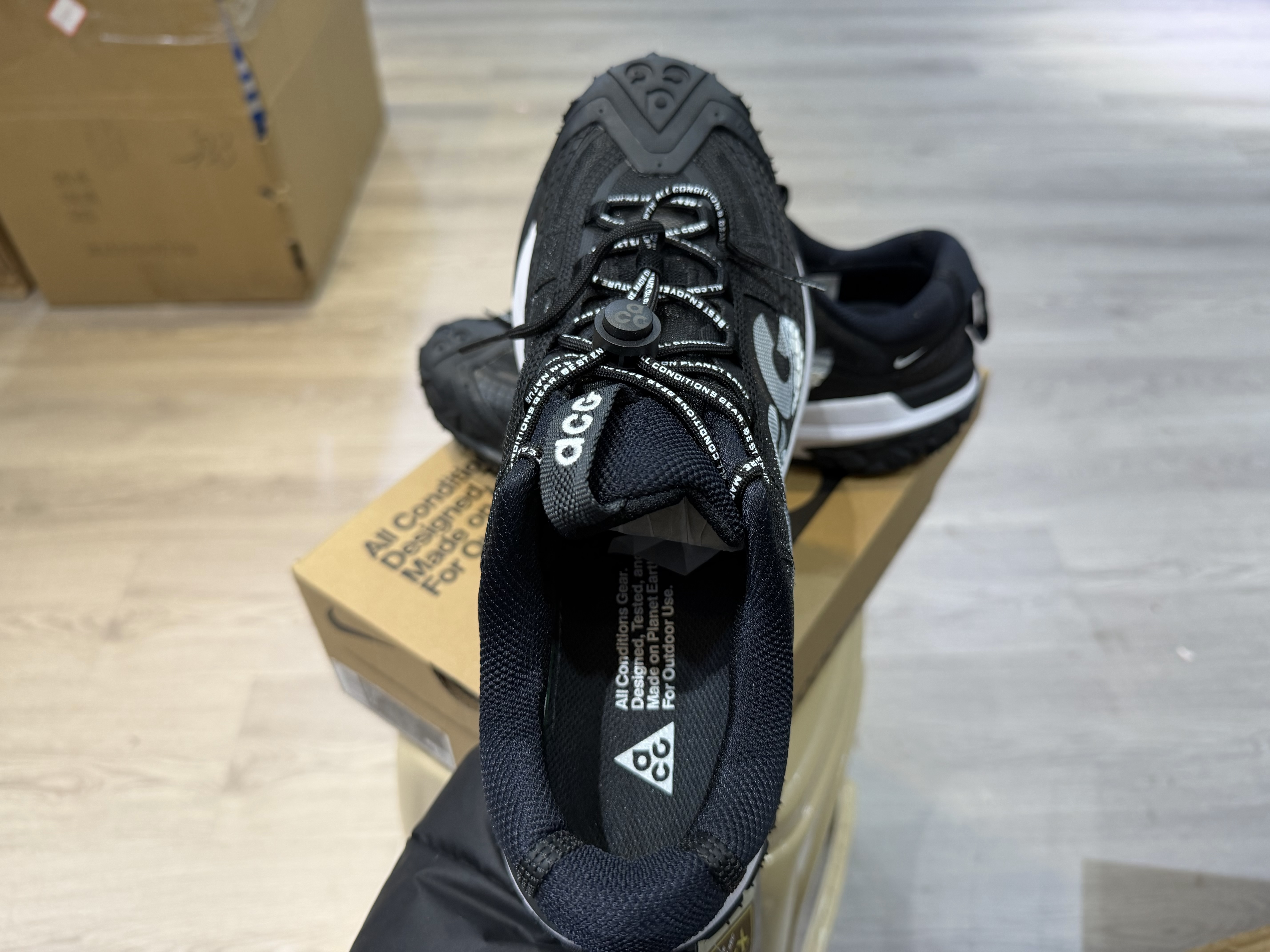 Nike ACG Mountain Fly 2 Low