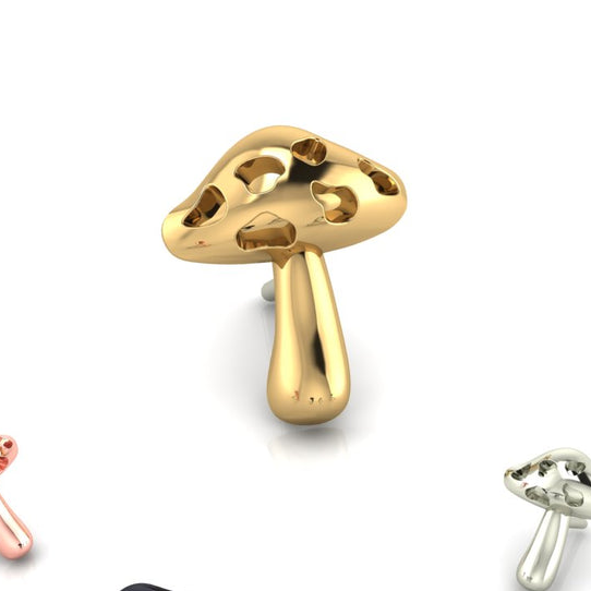    Mushroom Amanita