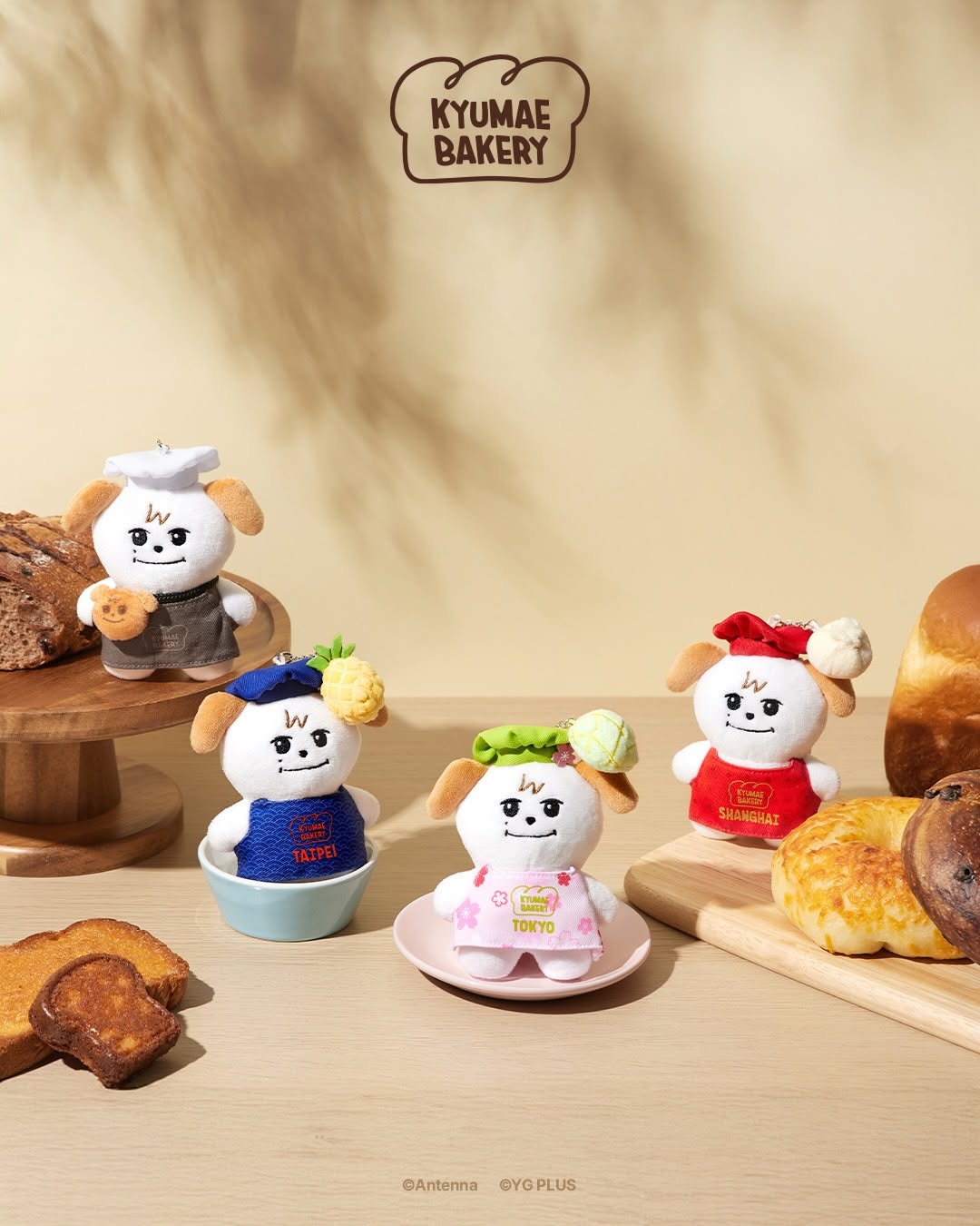 KyuHyun 圭賢 圭美 KYUMAE POP-UP STORE 周邊