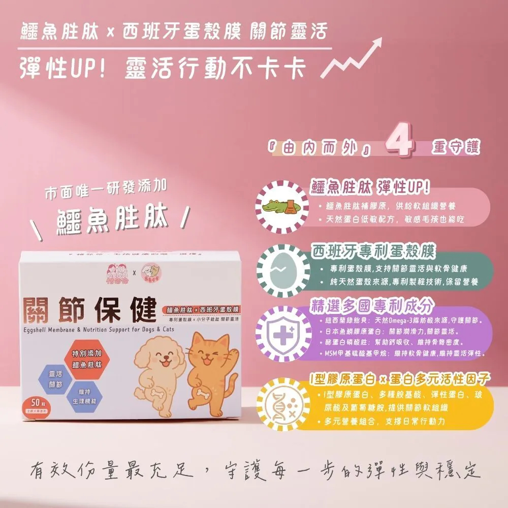 【台灣寵愛毛毛・惜命命關節保健】