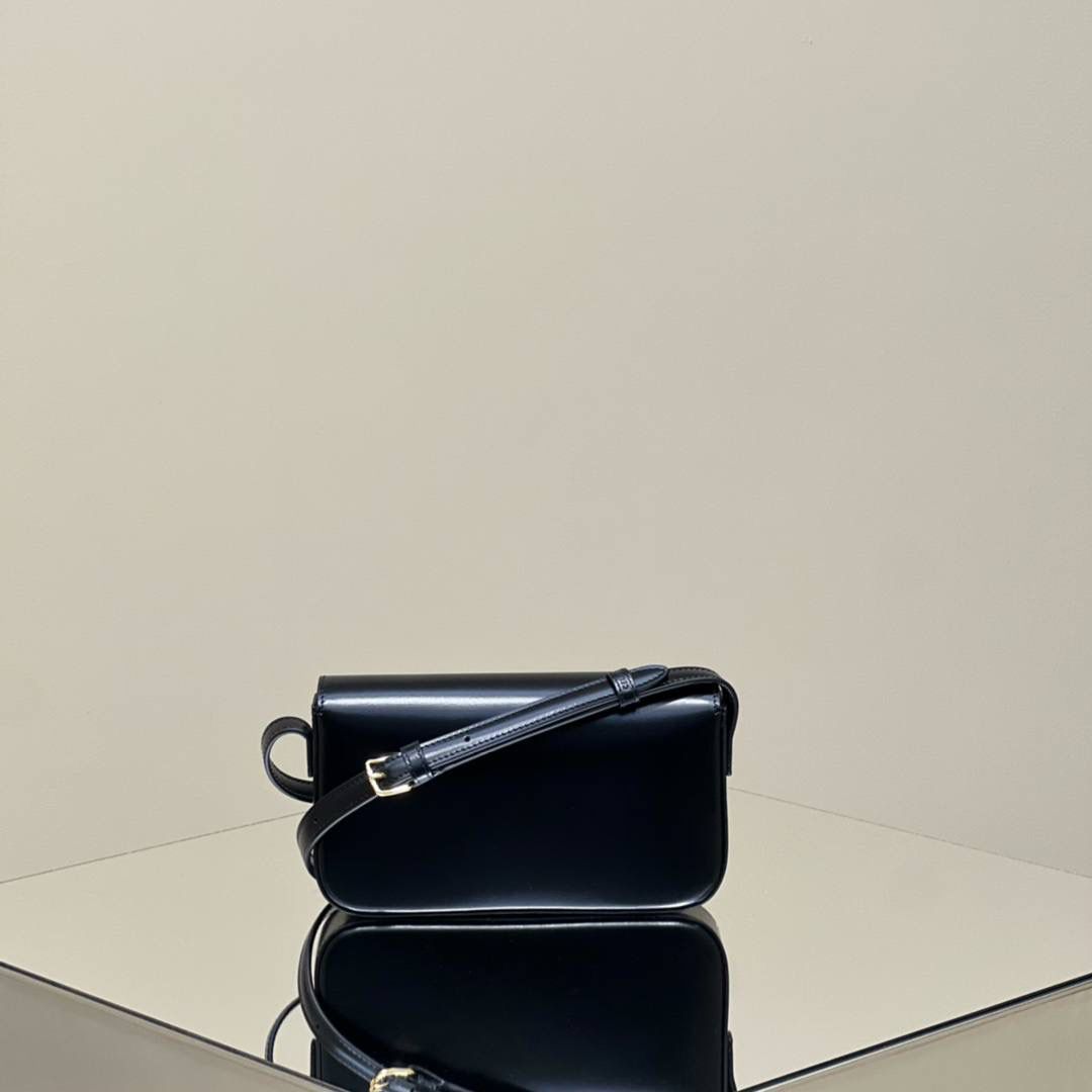 🔥大货实拍图 𝗖𝗘𝗟𝗜𝗡𝗘 ♥ 𝗧𝗥𝗜𝗢𝗠𝗣𝗛𝗘 𝗦𝗛𝗢𝗨𝗟𝗗𝗘𝗥 𝗕𝗔𝗚 型号：194143 尺寸：20*10*4cm