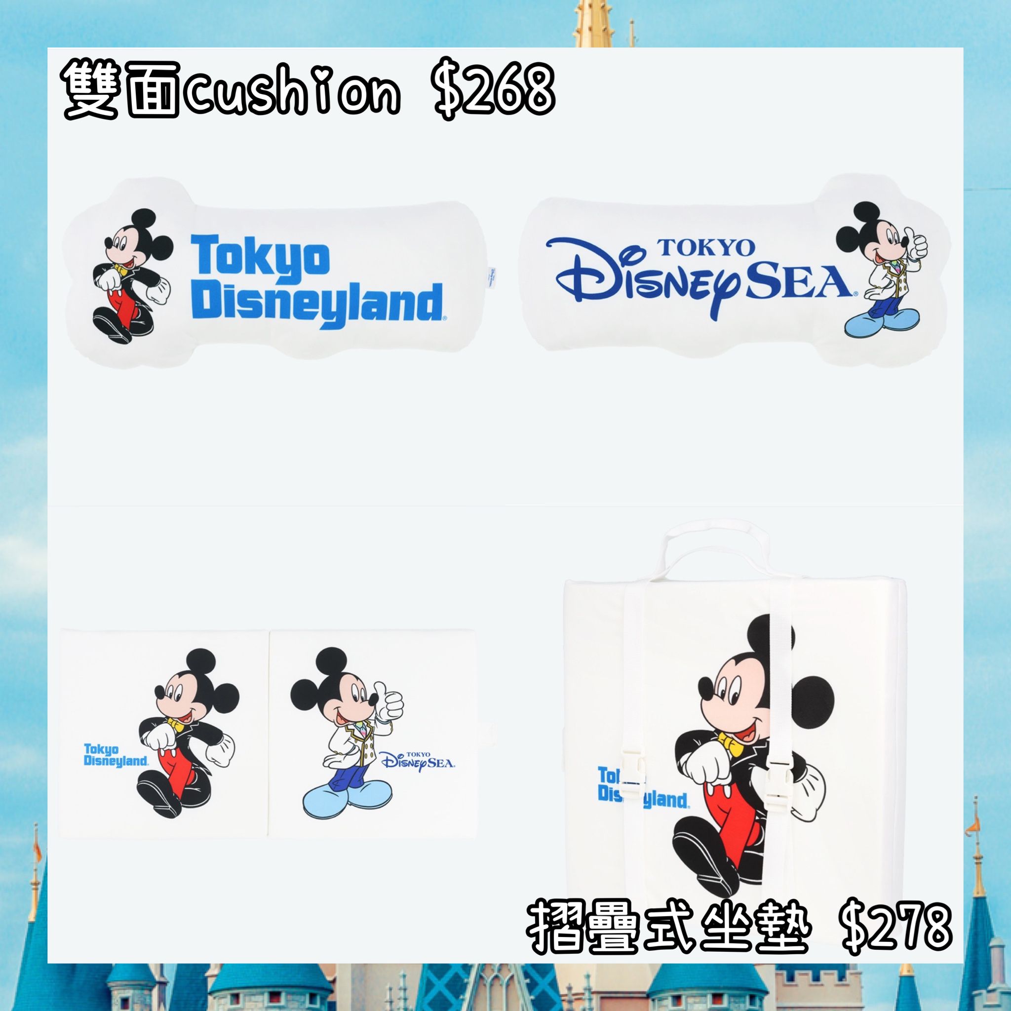 ：日本：DISNEYLAND園區產品 雙面 CUSHION 摺疊式坐墊