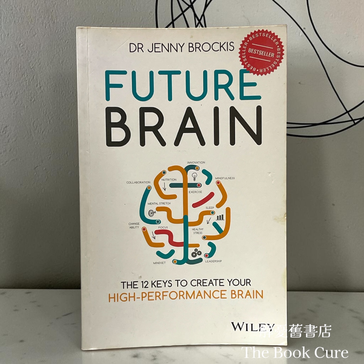 Future Brain: The 12 Keys to Create Your High-Performance Brain /  by Jenny Brockis