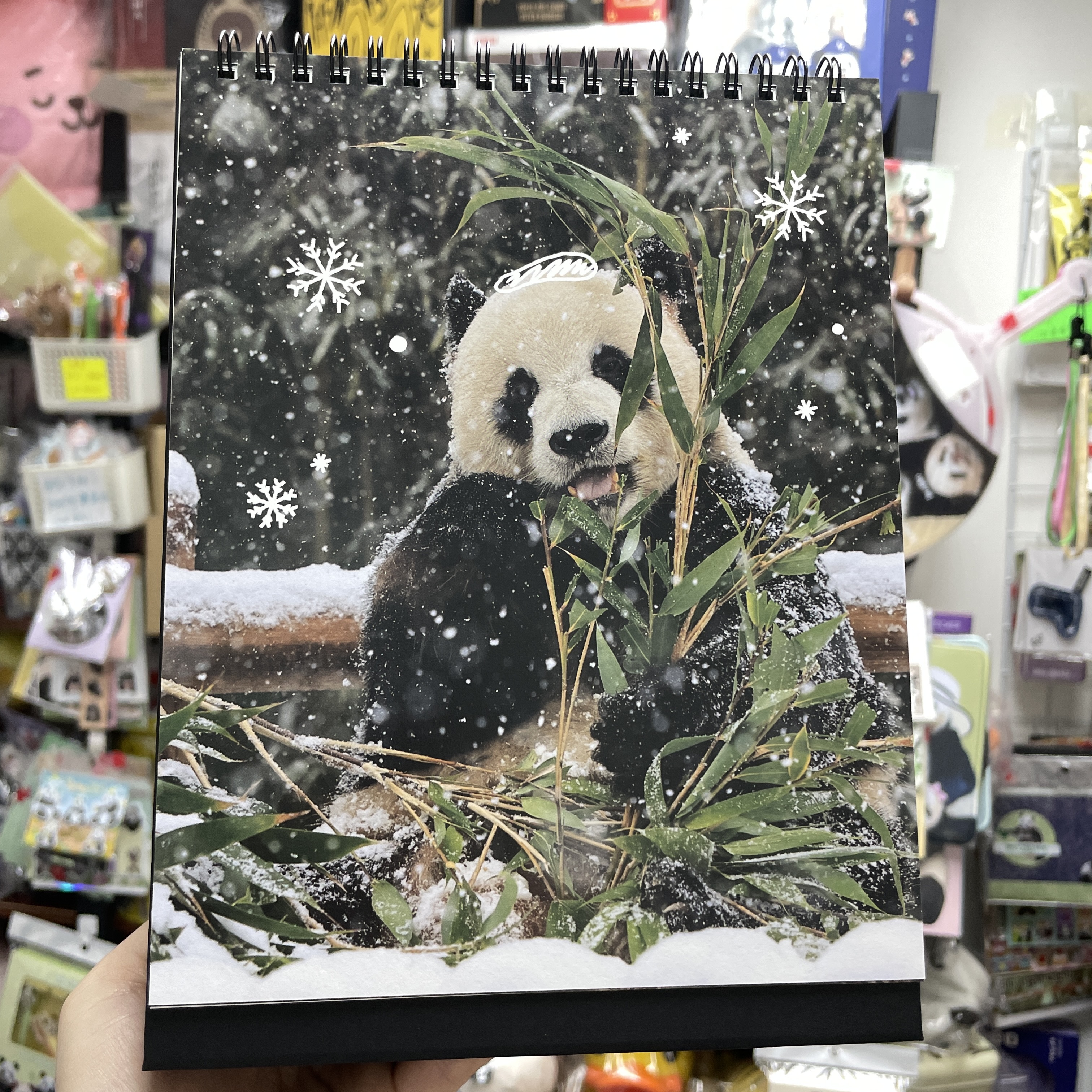 🈶現貨 韓國代購 愛寶樂園 Everland Bao Family 寶家族 2026年 座枱月曆