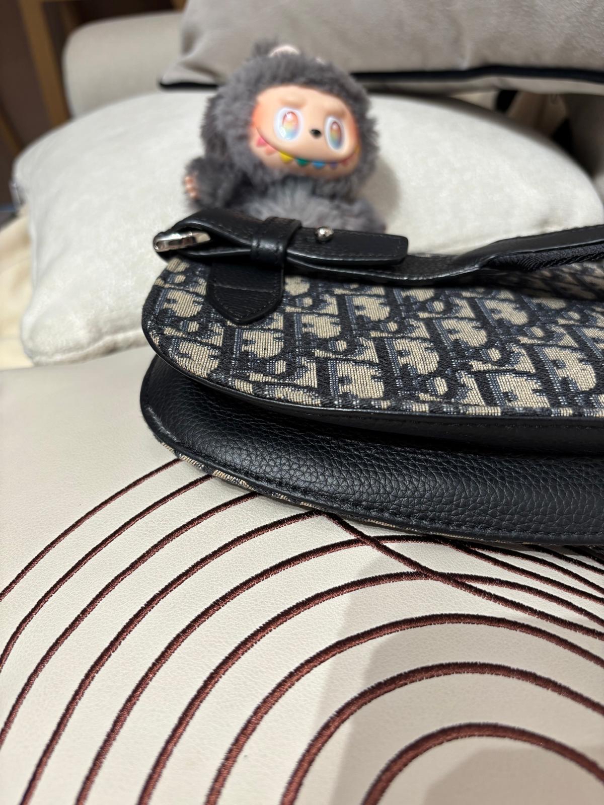 Dior saddle pouch Crossbody Bag 100%Authentic ,95%new ✅dust bag
