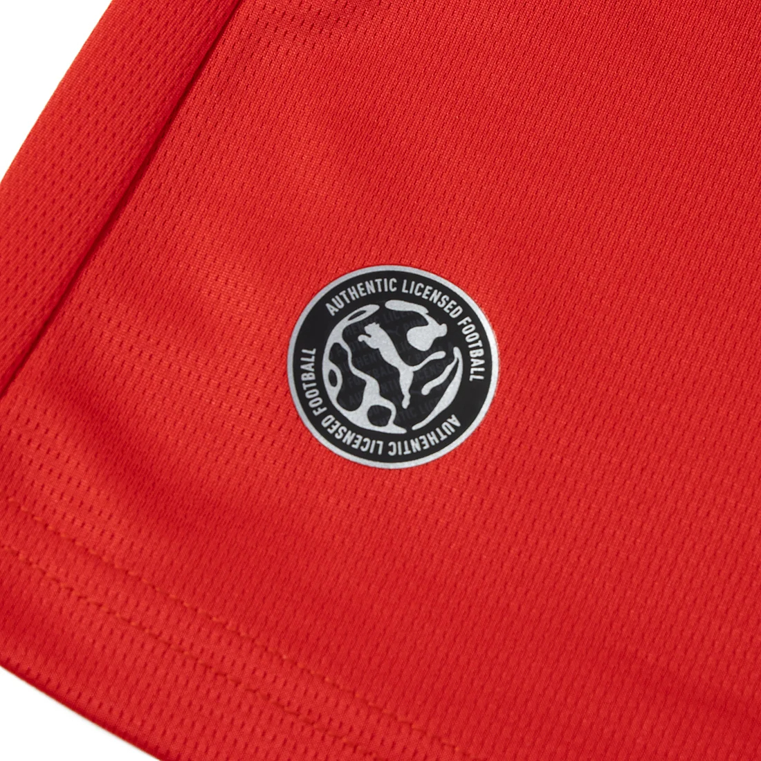 Puma Egypt 埃及 2026-27 主場球迷版球衣 (可加印字) 783552