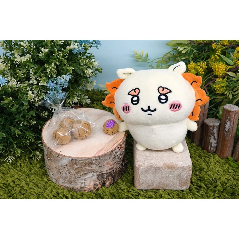 CHIIKAWA 公仔風獅シーサー016804 | Yurakugiftshop 有樂町精品屋