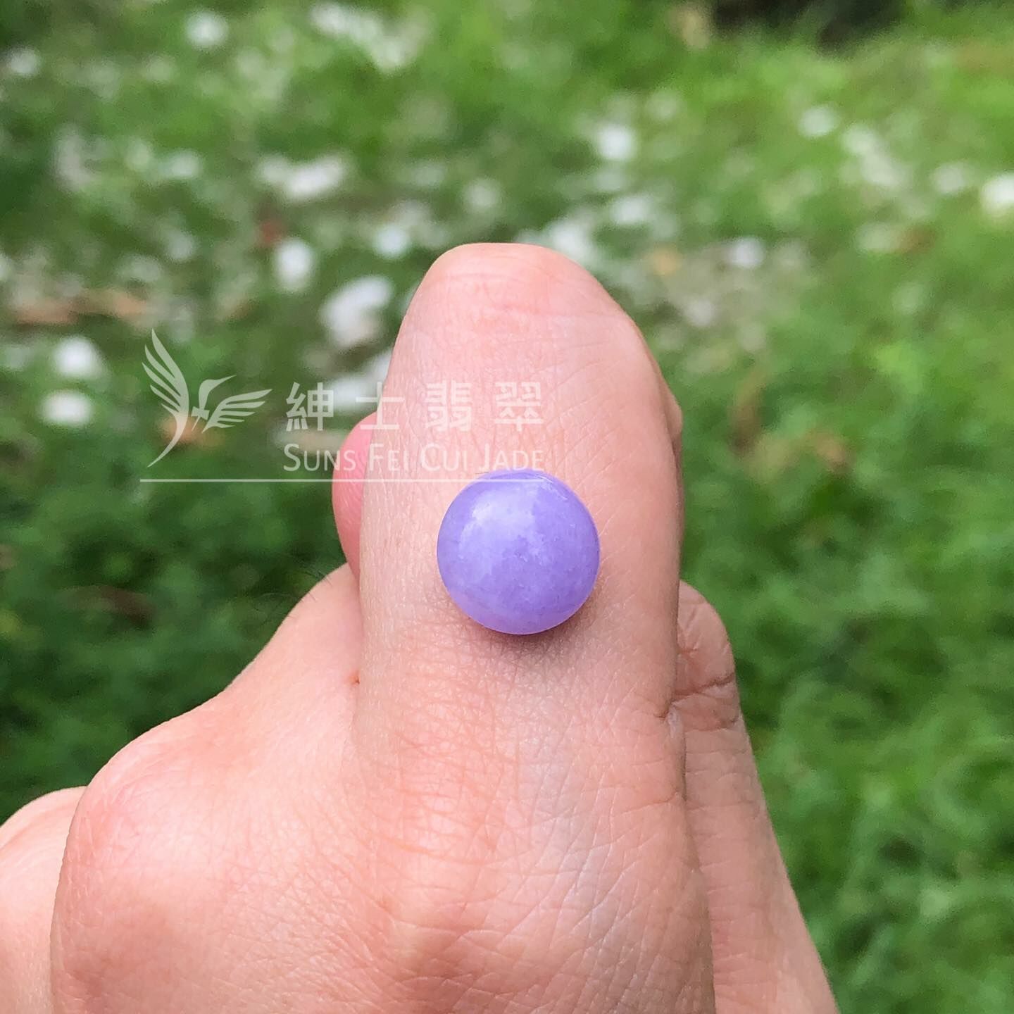 濃色正紫蛋面 - 13