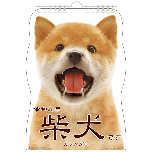 日本製 2027年掛曆 柴犬 (日版)
