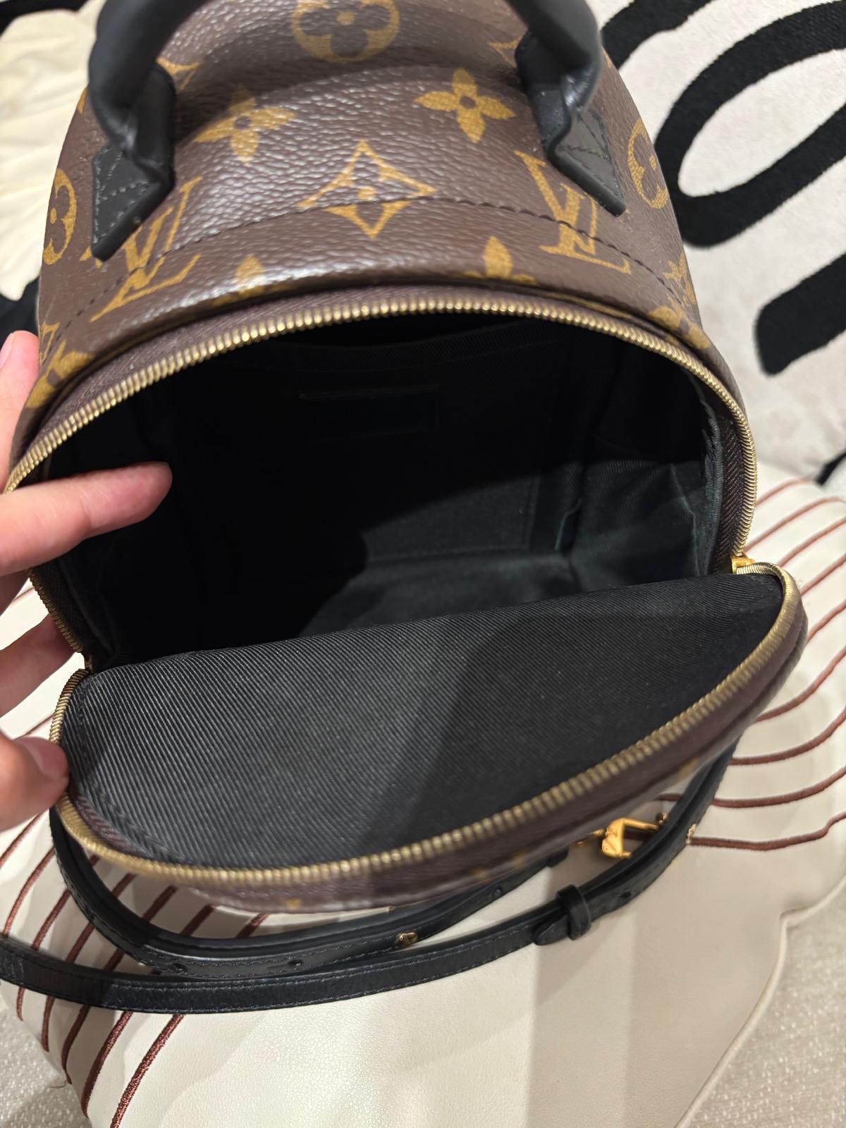 Lv mini Palm Springs backpack M44873 100%Authentic ,98%new ✅dust bag✅Strap