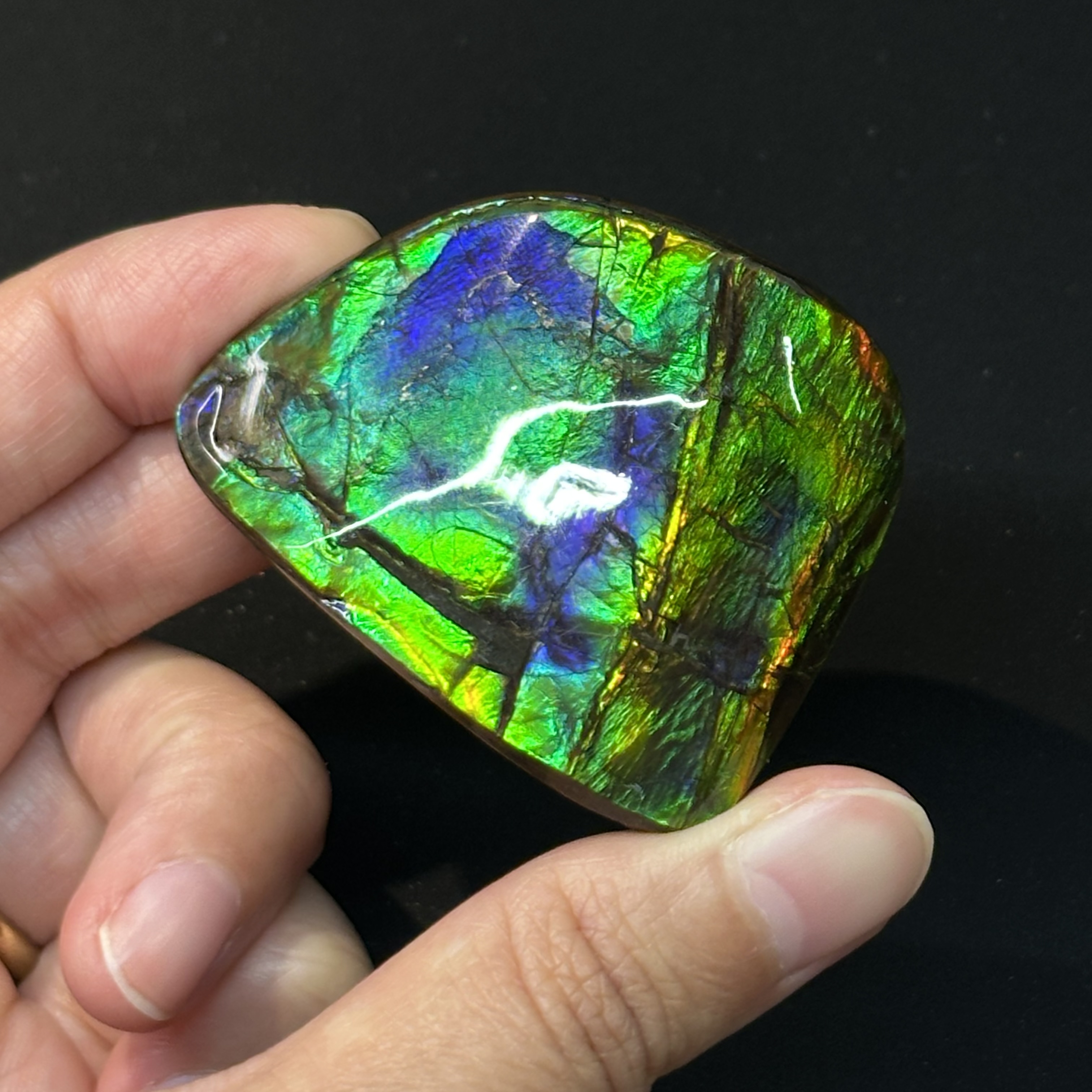 斑彩石 - Ammolite AM03
