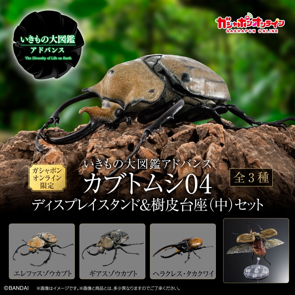 [GOL]THE DIVERSITY OF LIFE ON EARTH ADVANCE BEETLE 04 DISPLAY STAND & BARK PEDESTAL (MEDIUM) SET