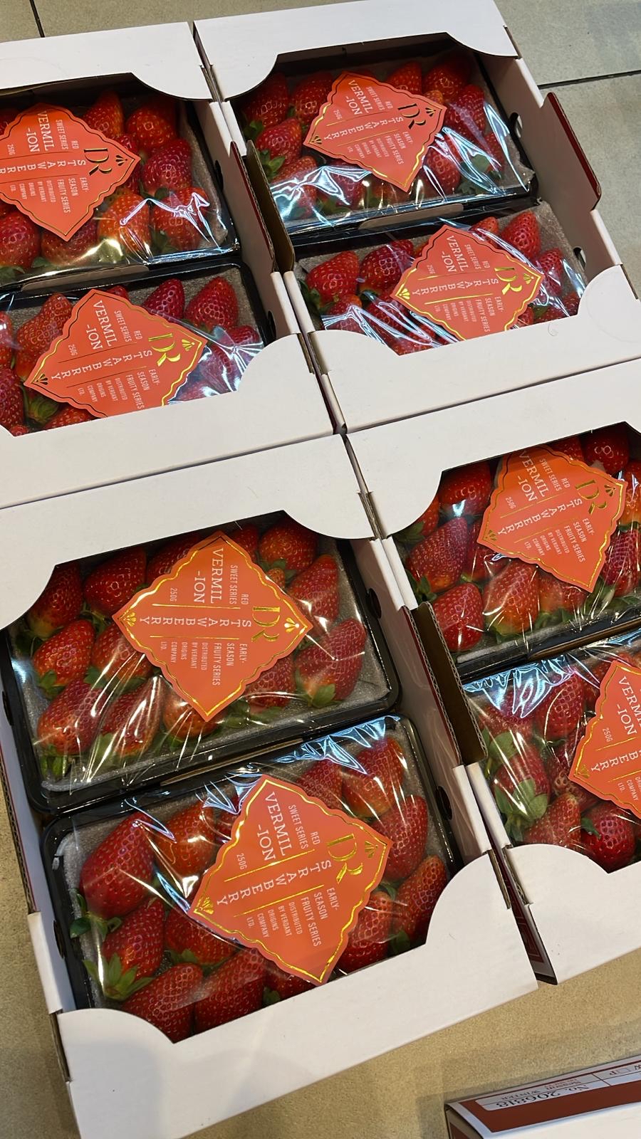 DR Higyokukyo 士多啤梨