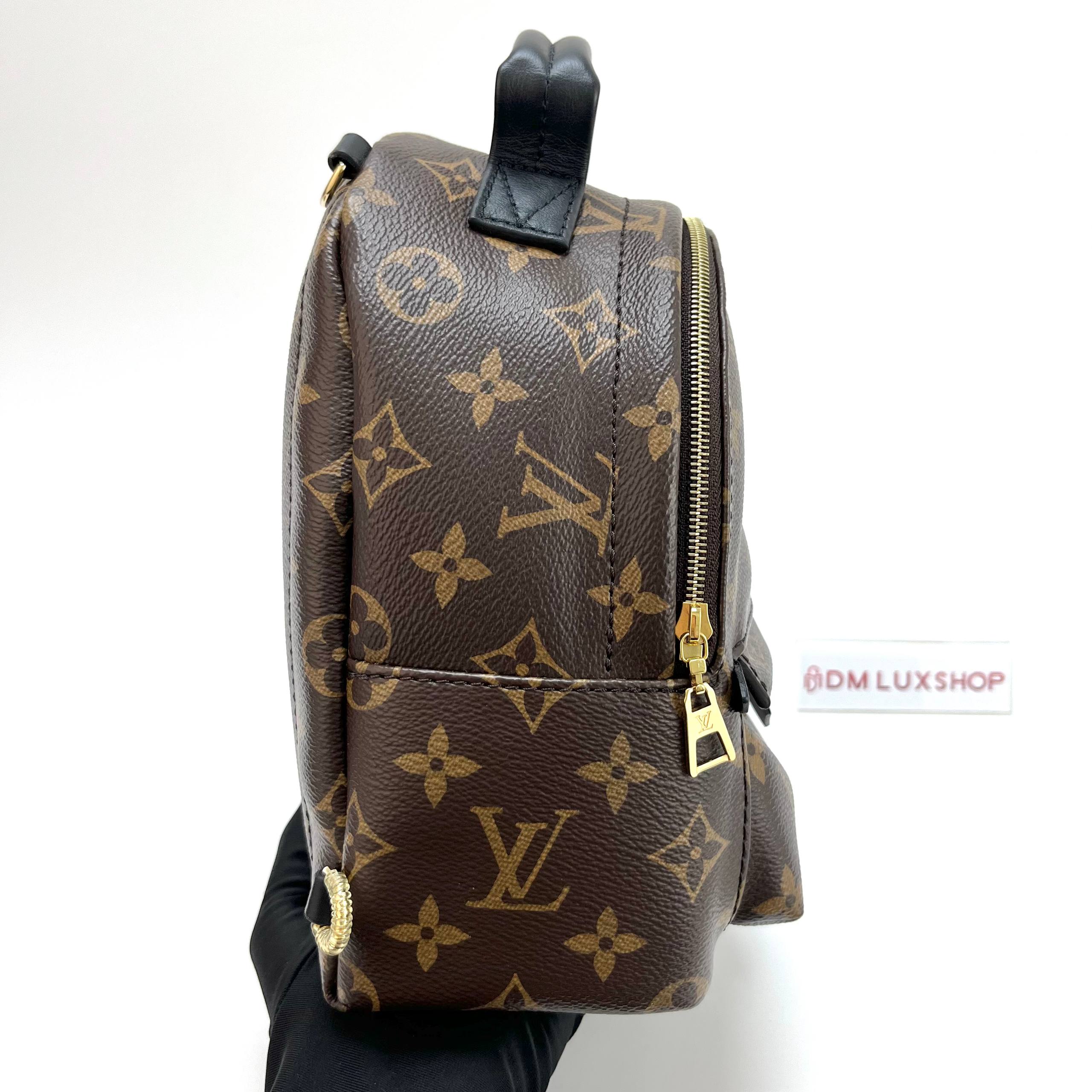 LV Monogram Palm Springs Mini GHW
