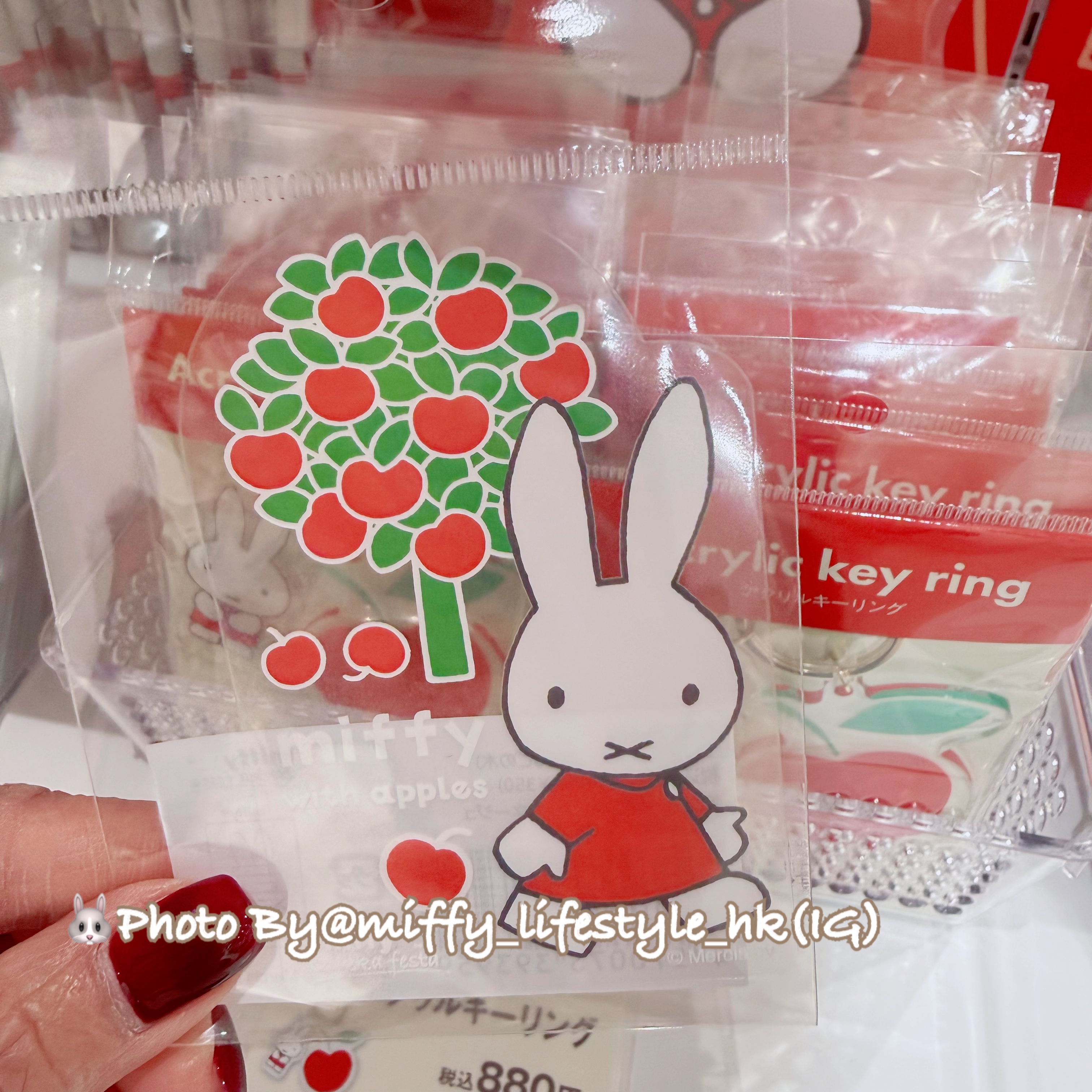 🐰Pre Order  -  2026 Zakka miffy 展覽限定 "miffy 透明貼紙"   ( 📦 大約 1月中 ~ 底到貨, 若遇到缺貨或其它因素貨期會延遲 ）