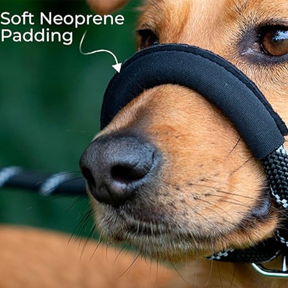 一體式狗嘴套牽引繩 200*1.0CM 黑色 UB0272