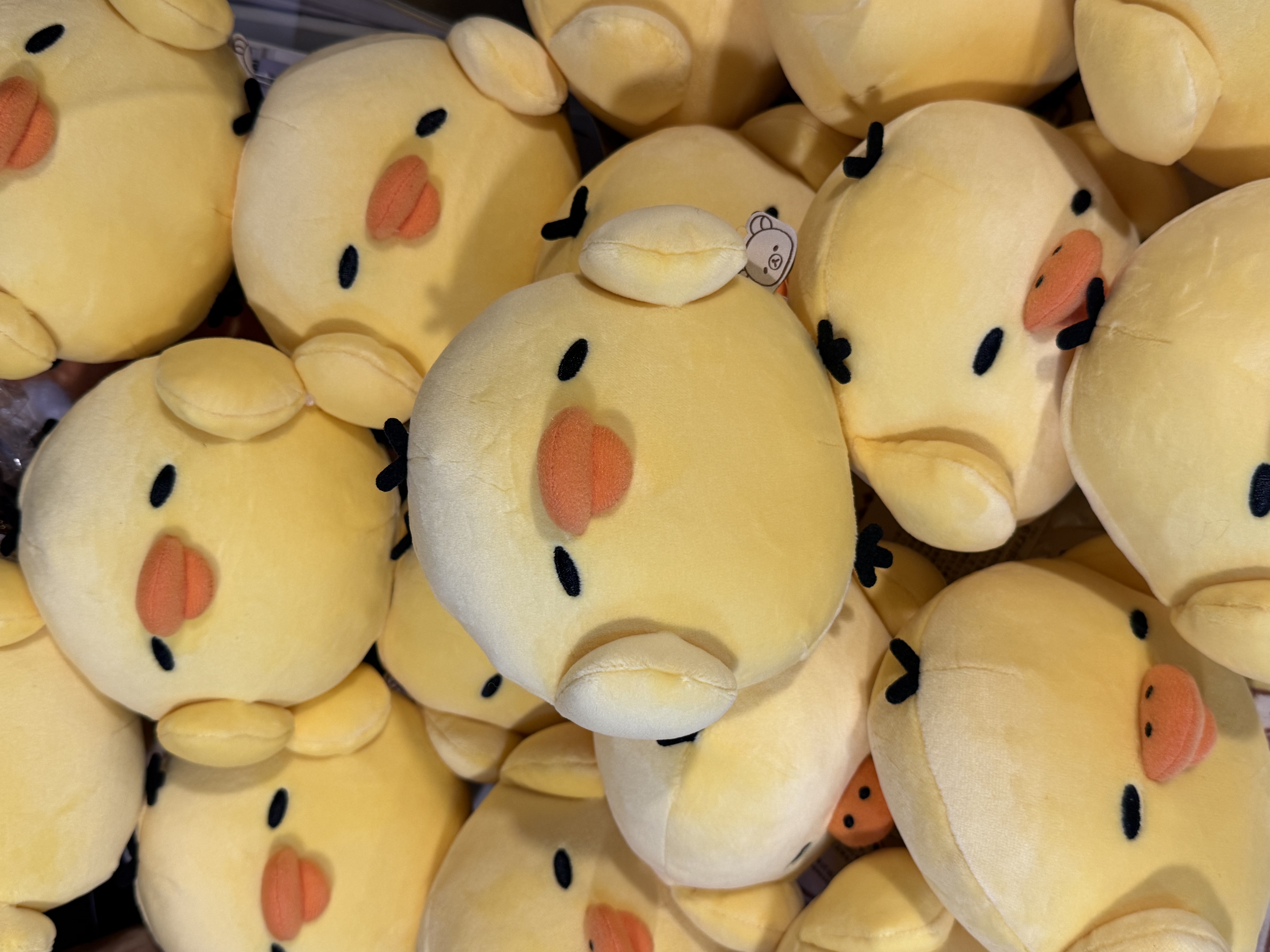 《現貨》全新小雞側頭眯眼公仔