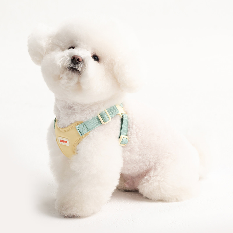 *預購 BiteMe🇰🇷 Comfort Harness v2