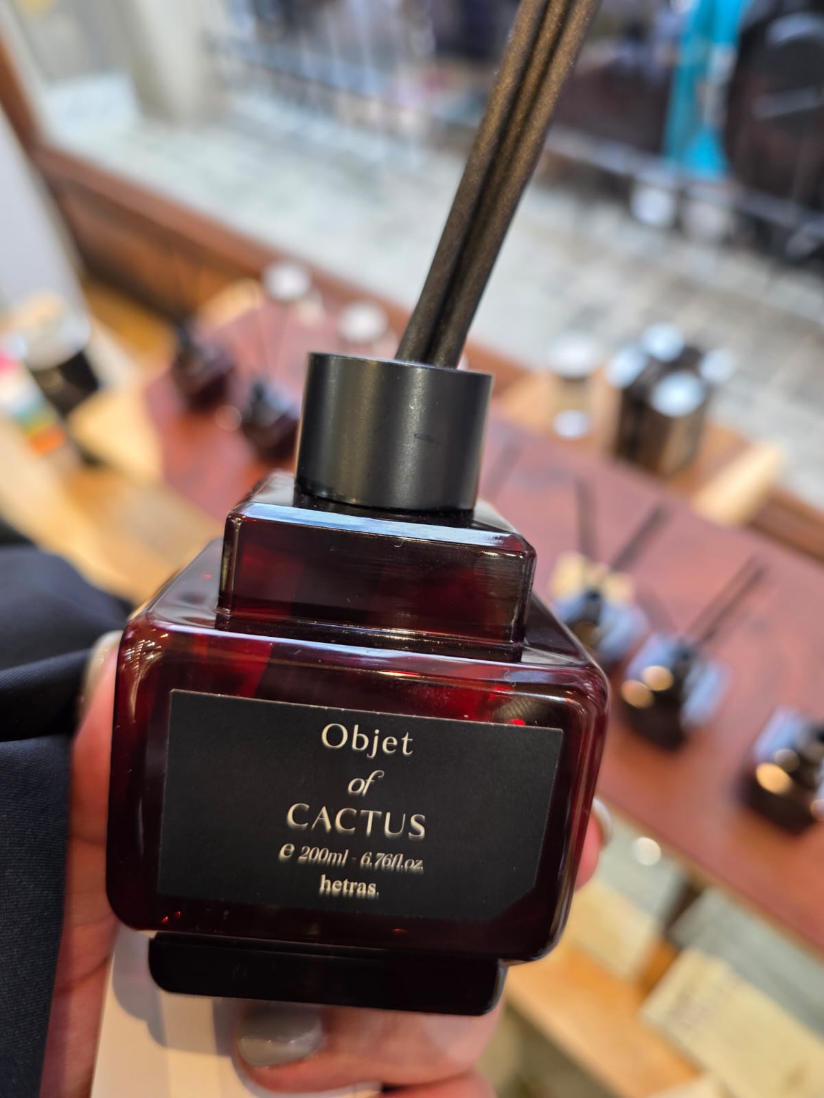 hetras objet diffuser 200ml x 2 cactus