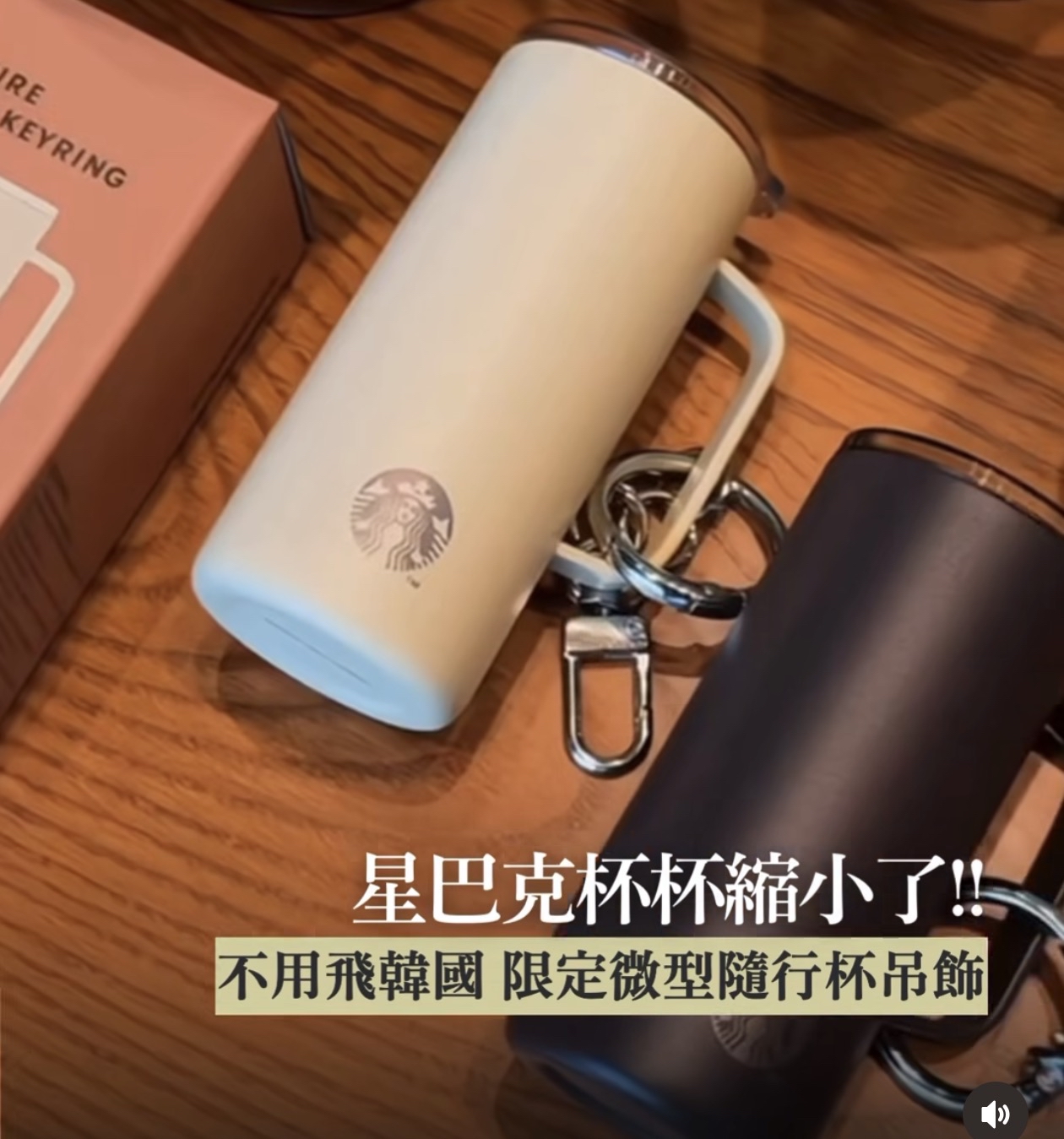 韓國Starbucks 保溫杯鎖匙扣