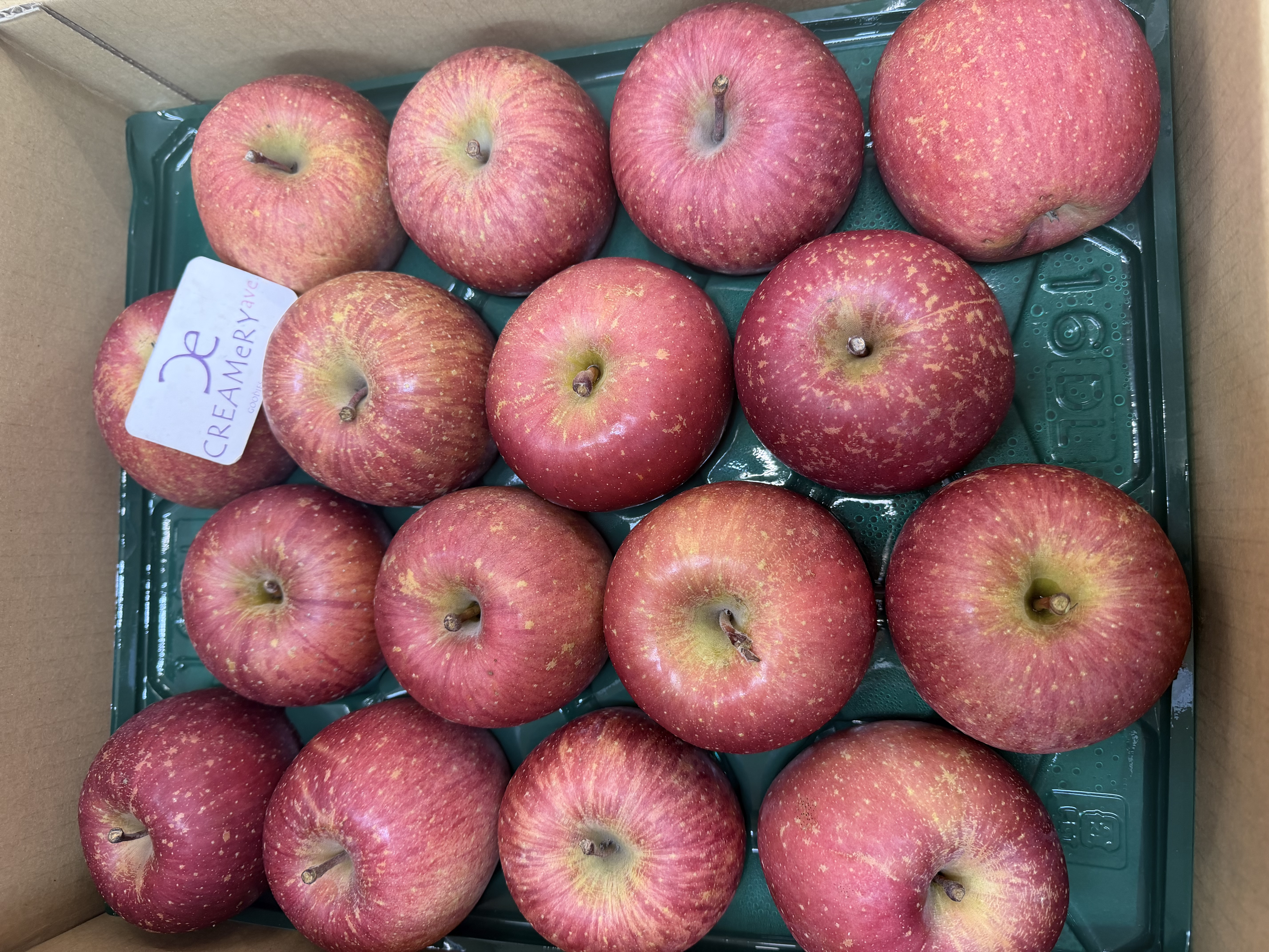 日本青森縣 小蜜蜂富士蘋果 ふじリンゴ 大32玉3個