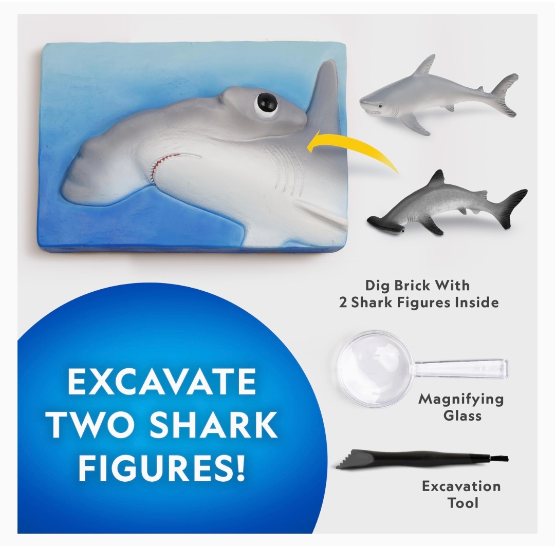 National Geographic鯊魚挖掘玩具 STEM科學考古體驗 Shark Dig Kit 兒童益智探索套裝