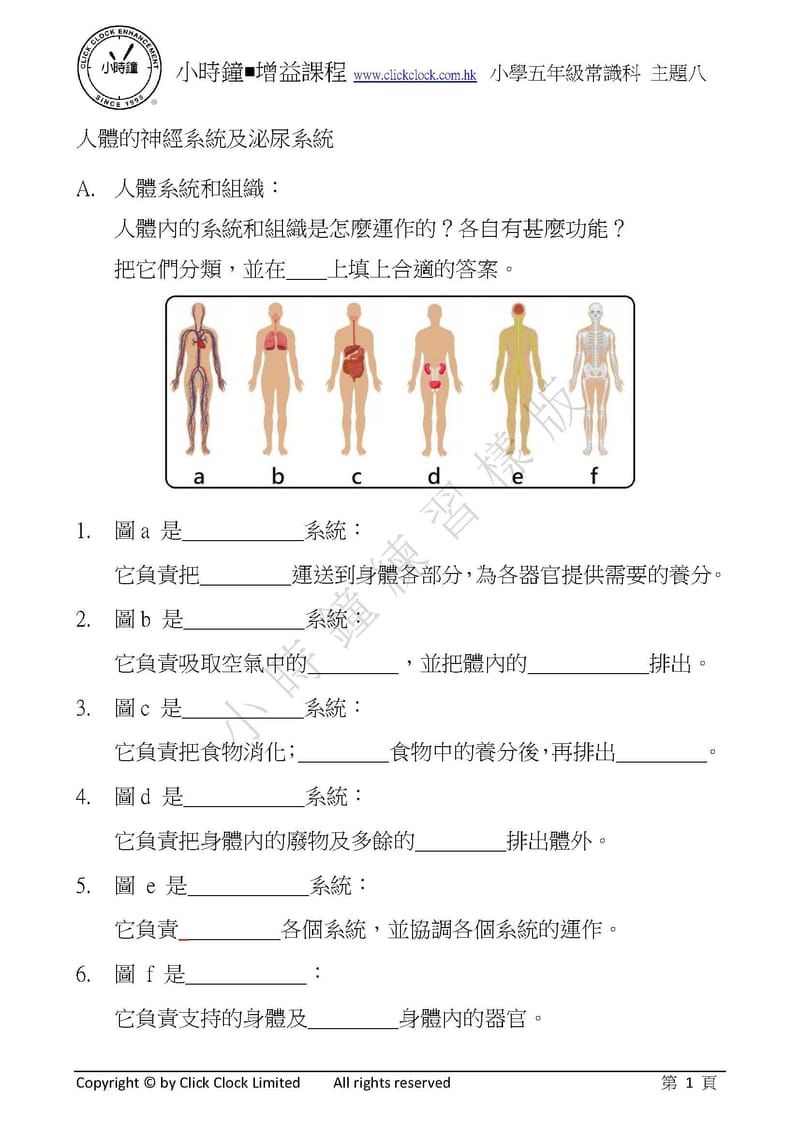 模擬試卷 (五年級)