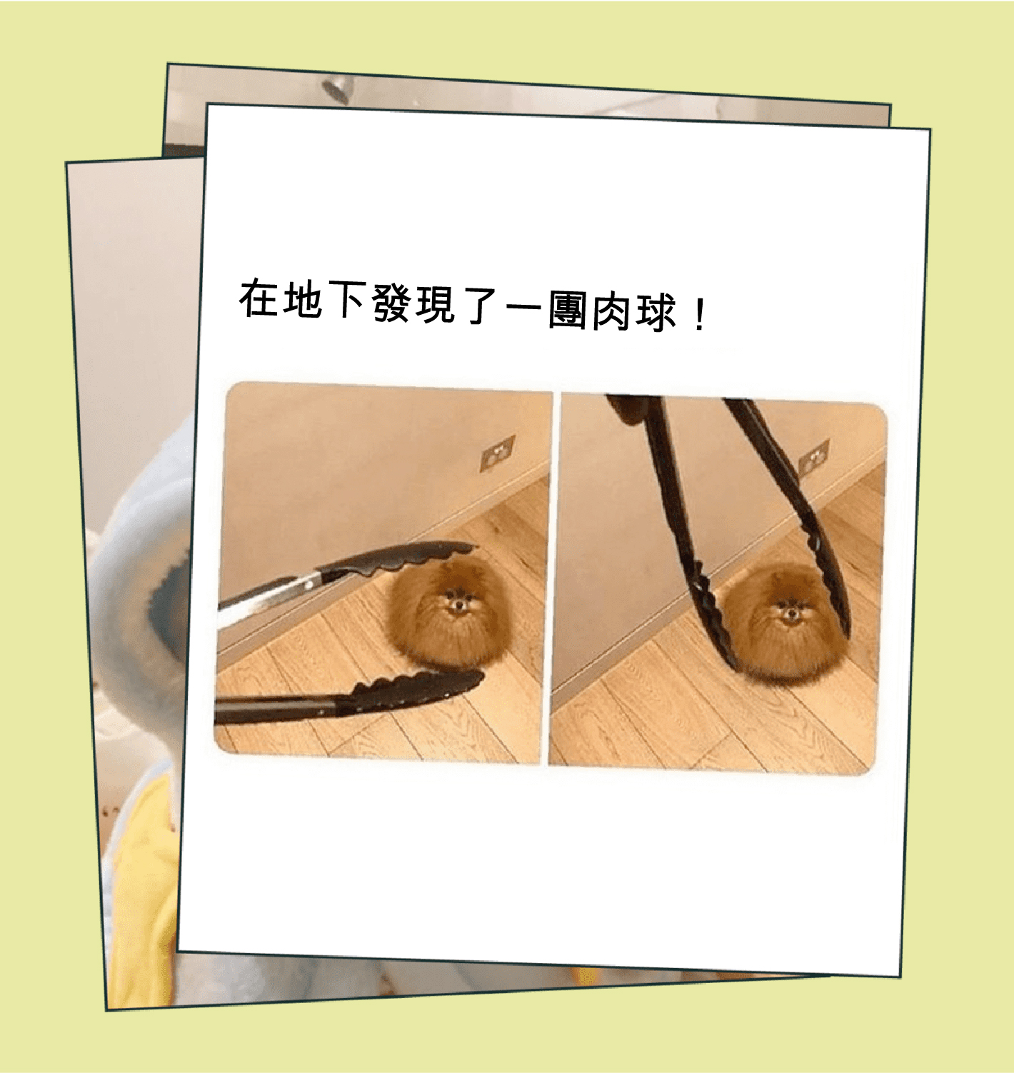 Mobile image