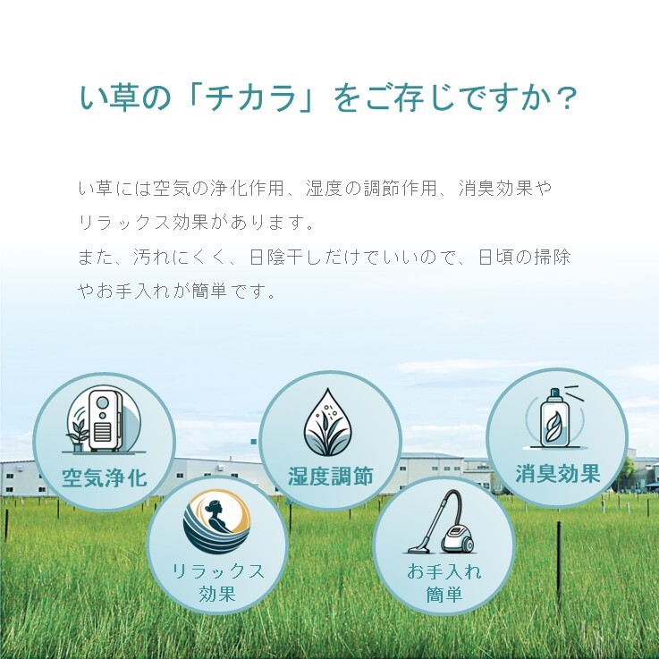 日本IKEHIKO貓咪燈心草(藺草)地墊