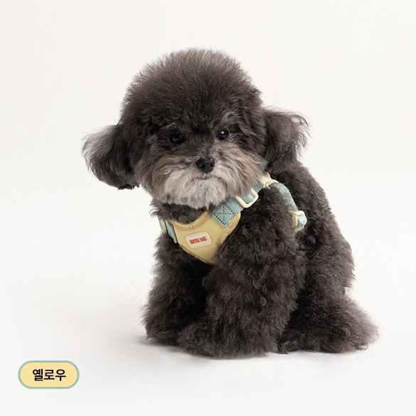 *預購 BiteMe🇰🇷 Comfort Harness v2