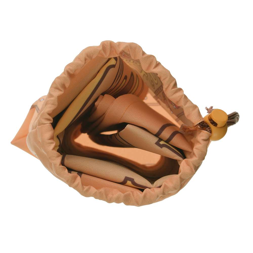 【預訂】Disney Leisure Time - Sleeping Beauty 野餐墊連索袋