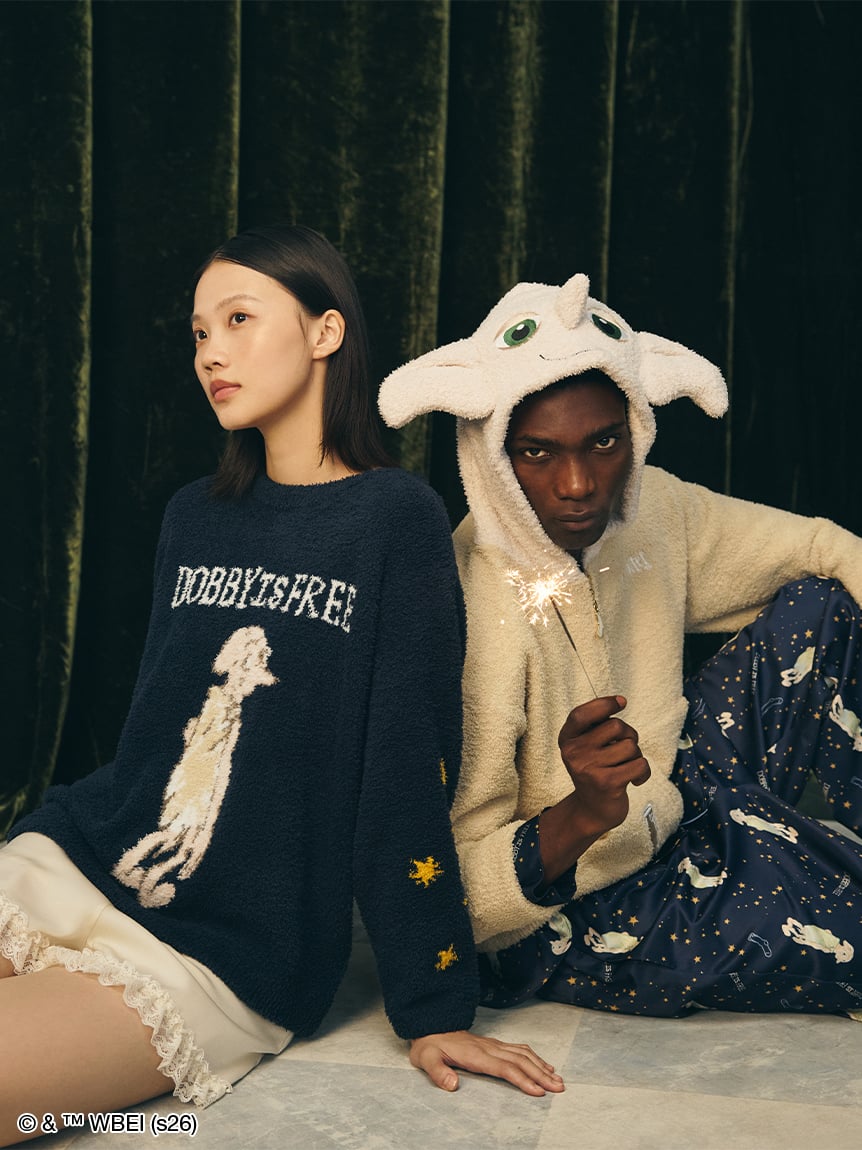 圖案針織連帽衫 Motif Knit Hoodie｜SNIDEL HOME X 哈利波特 聯名 第5彈 (Harry Potter)【預購】 (26193-P）