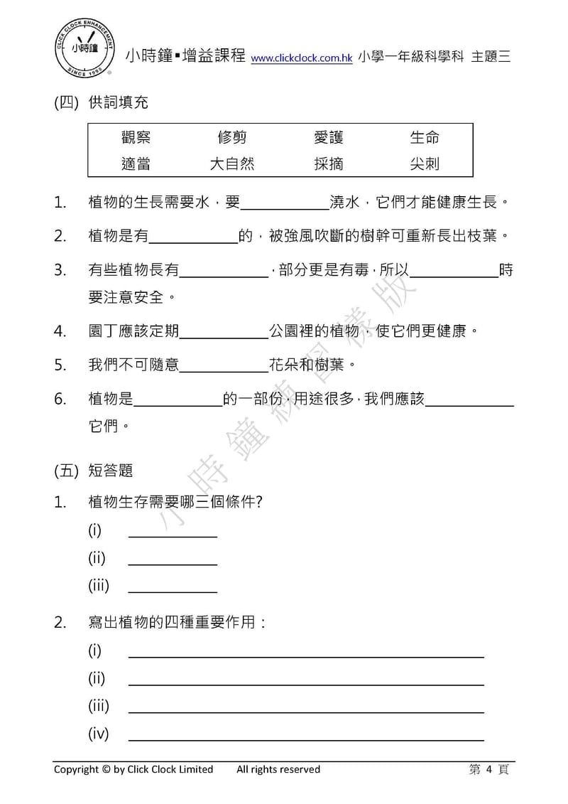 模擬試卷 (一年級)