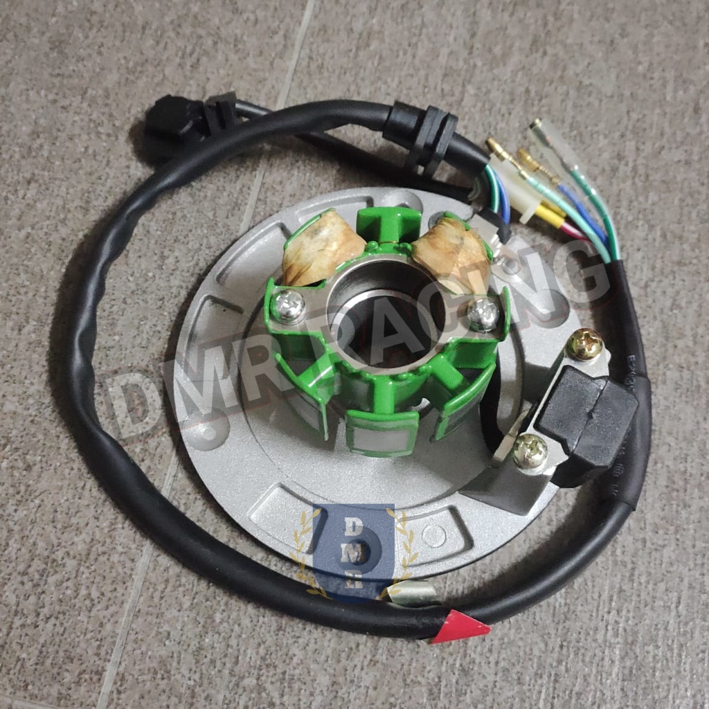 DEMAK D FORCE 160 Std Magnet With Stator Coil Unit (Motocross DFORCE160)