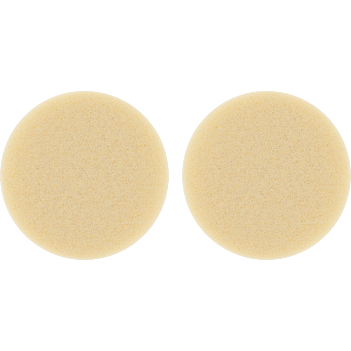 Air Filter for VOLCANO CLASSIC | 2 pc | Storz & Bickel