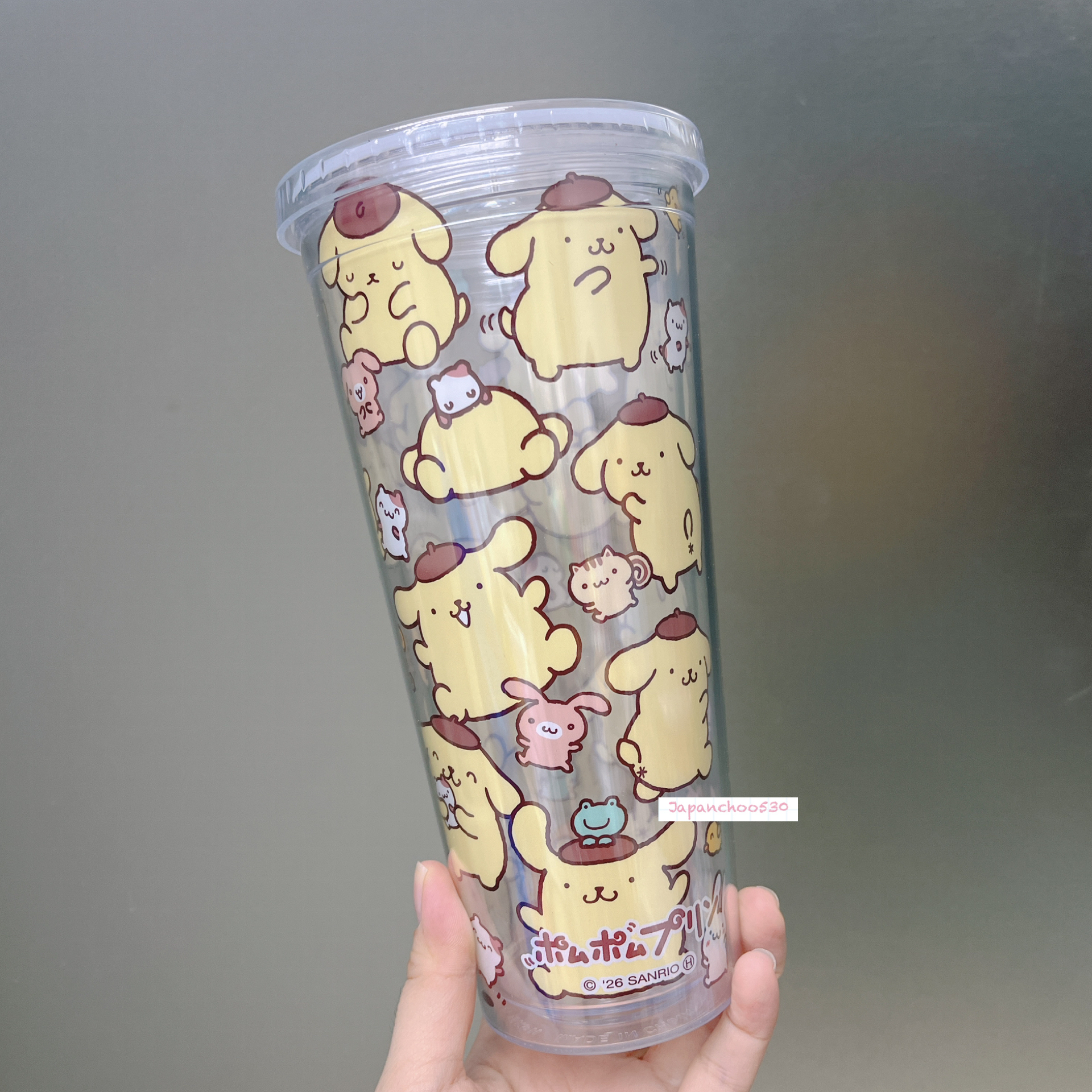 日本現貨/預訂📍日本Sanrio House可愛圖案冷水杯