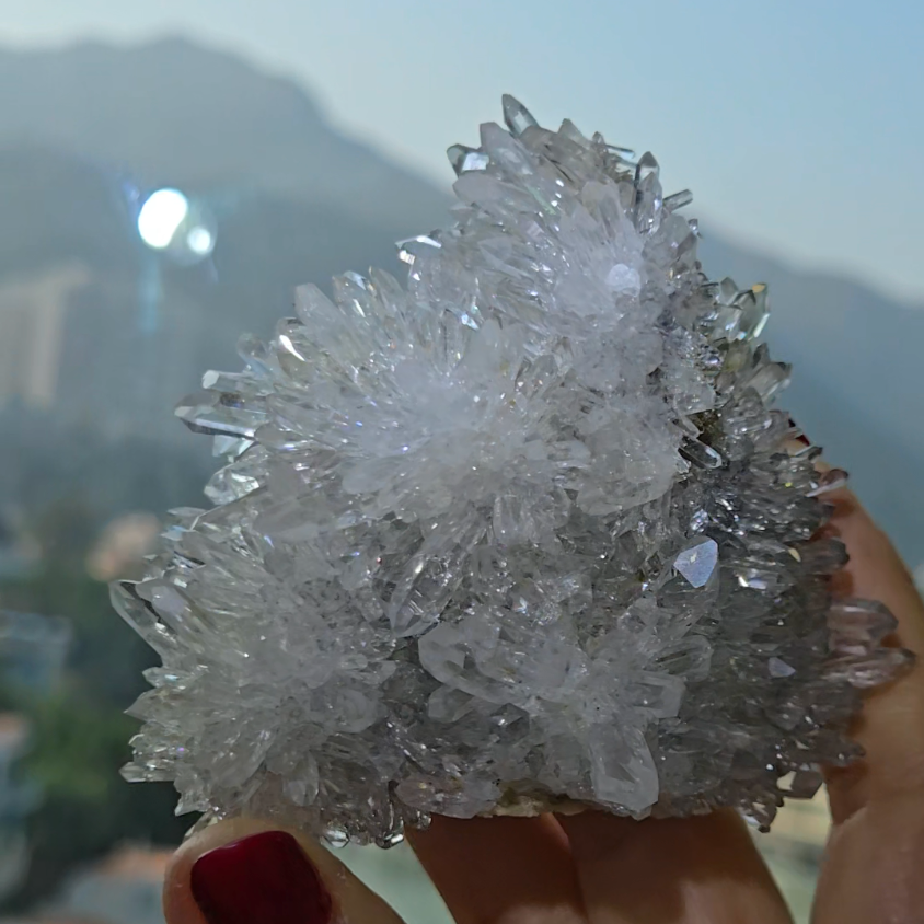 Chrysanthemum needle quartz with flower buds - CQ477