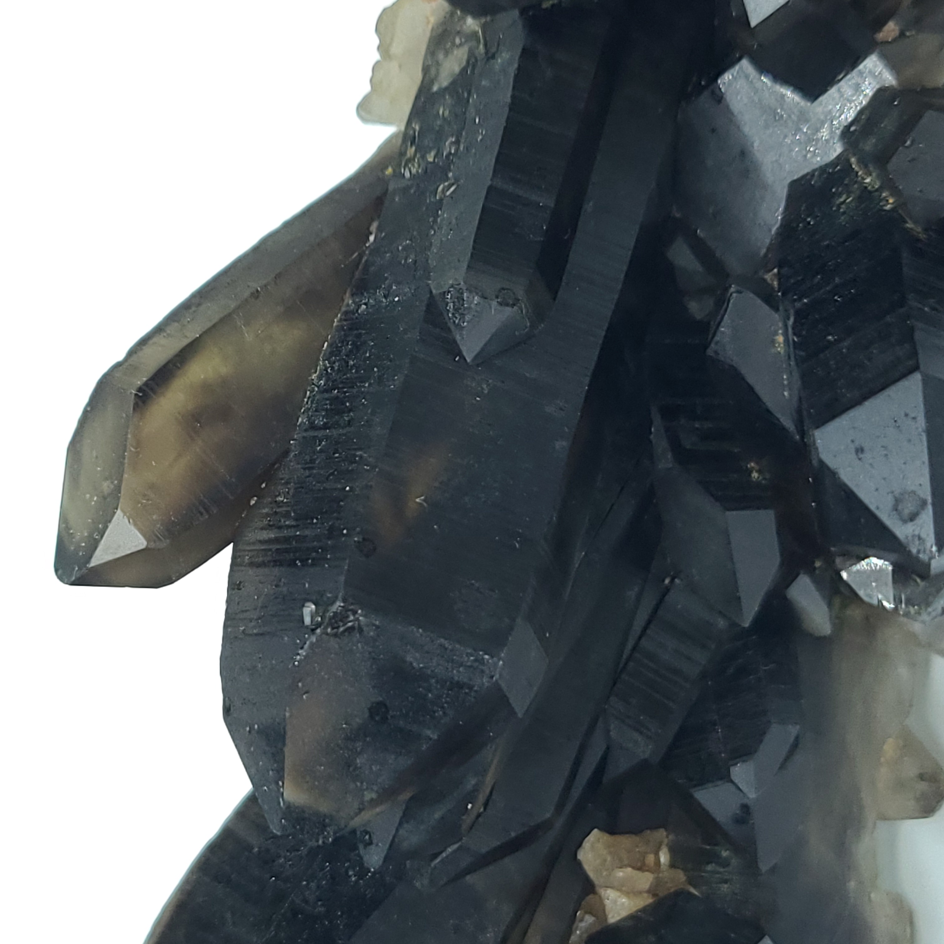 (Co#LC8498)黑水晶簇/Morion Smoky Quartz Crystal Cluster