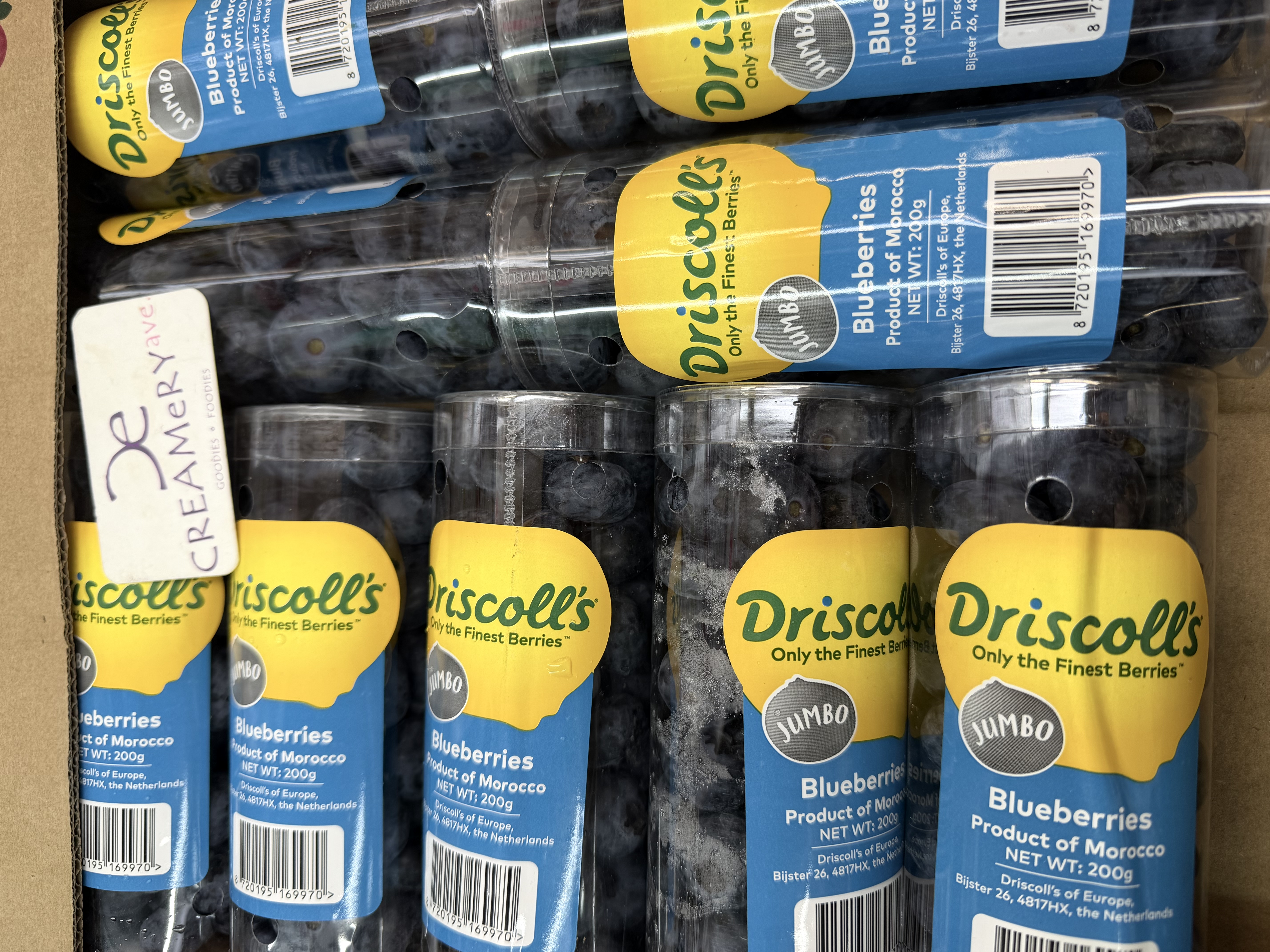 摩洛哥Driscoll's  珍寶藍莓 Morocco Driscoll's Jumbo Blueberries 圓筒裝 ±200g/筒 x2筒