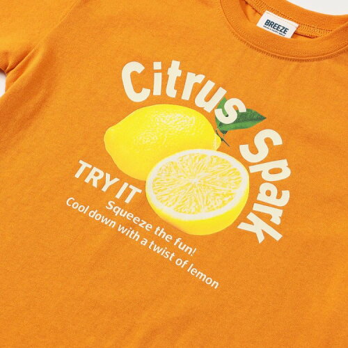 🆕【⭐訂購⭐】🌀 🇯🇵 日本直送 水果寫真🍉🍋🍎短袖 tee［3款選］🌀 [ELDA-0179][260520]