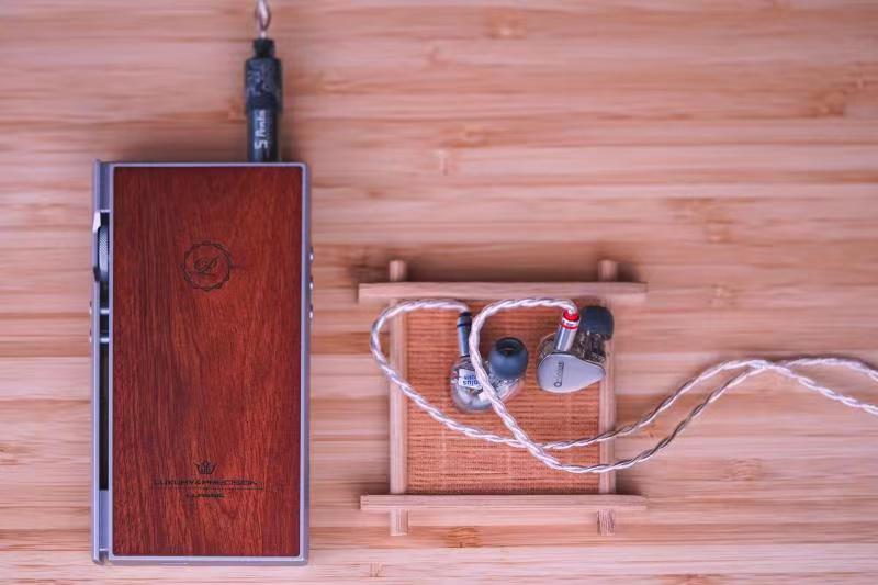 LUXURY & PRECISION P6 PRO 至高聽感分立R2R便攜播放機