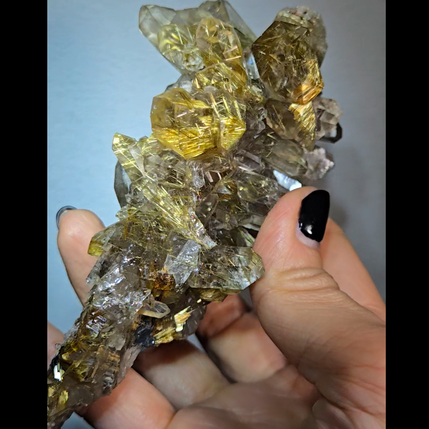 High-grade golden starburst rutiles on black hematite in quartz - RT1434