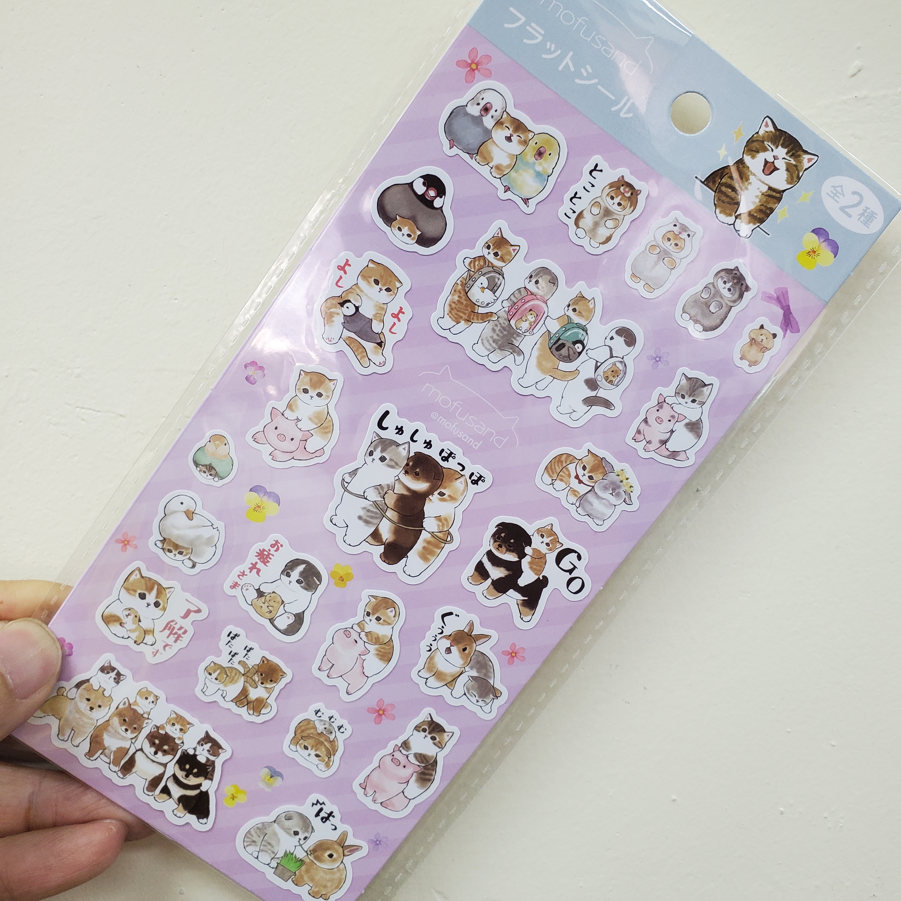 [現貨] [日本直送] MOFUSAND | 鯊魚貓 ｜ 貼紙 {TF2310152}