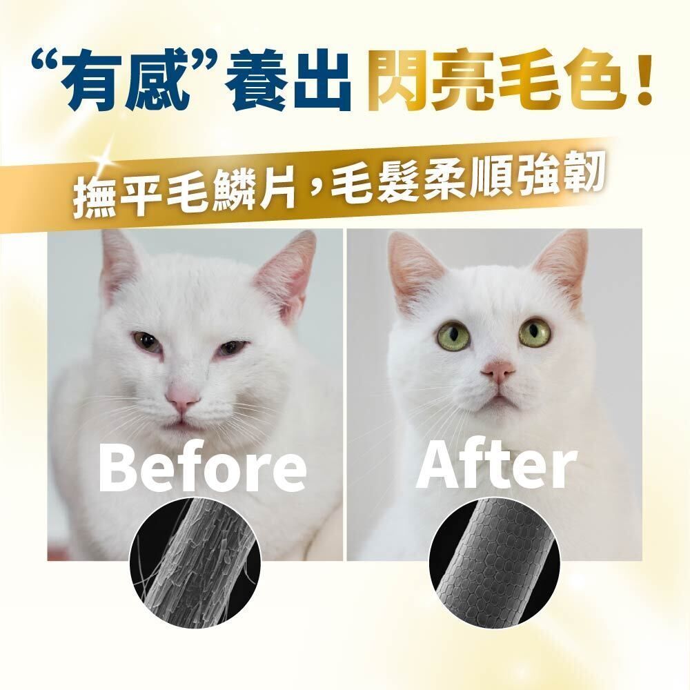 毛掌醫學-狗貓磷蝦魚油壓瓶16ml (最佳使用期: 2027年7月10日) Krill & Fish Oil Spray