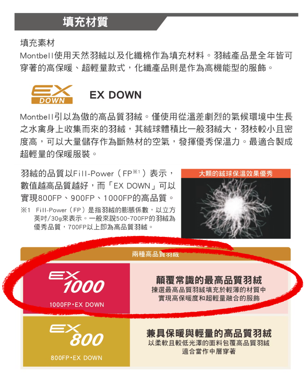 日本代購【 2026新色 日本直送 montbell 女裝 頂級 1000FP 羽絨外套 Plasma 1000 Down Jacket Women’s 】 