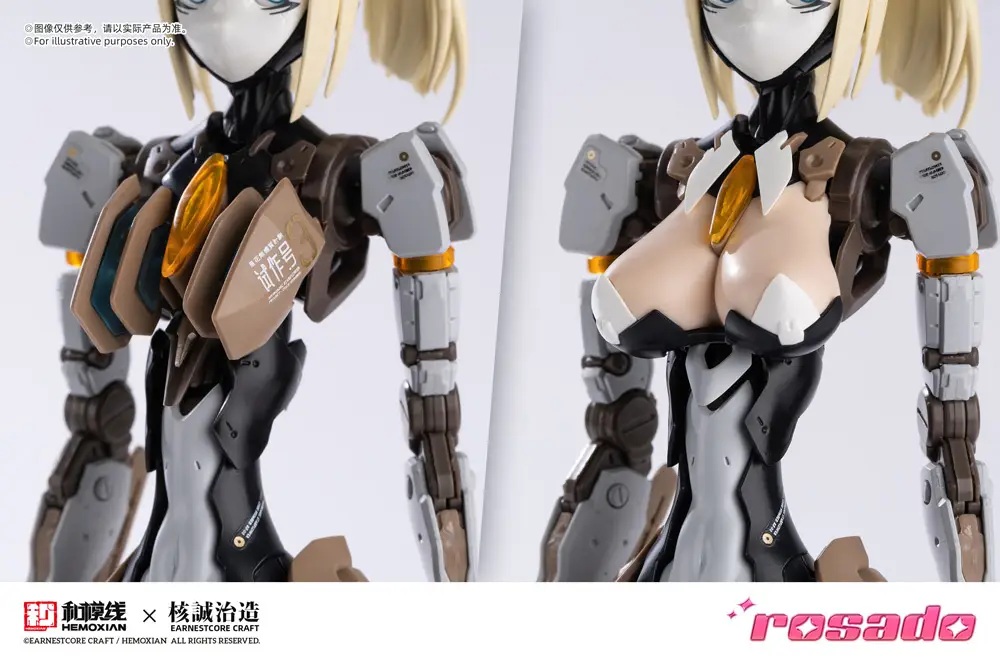 1/10 RS-03 Starflower Lily MK3 (rosado Project) 